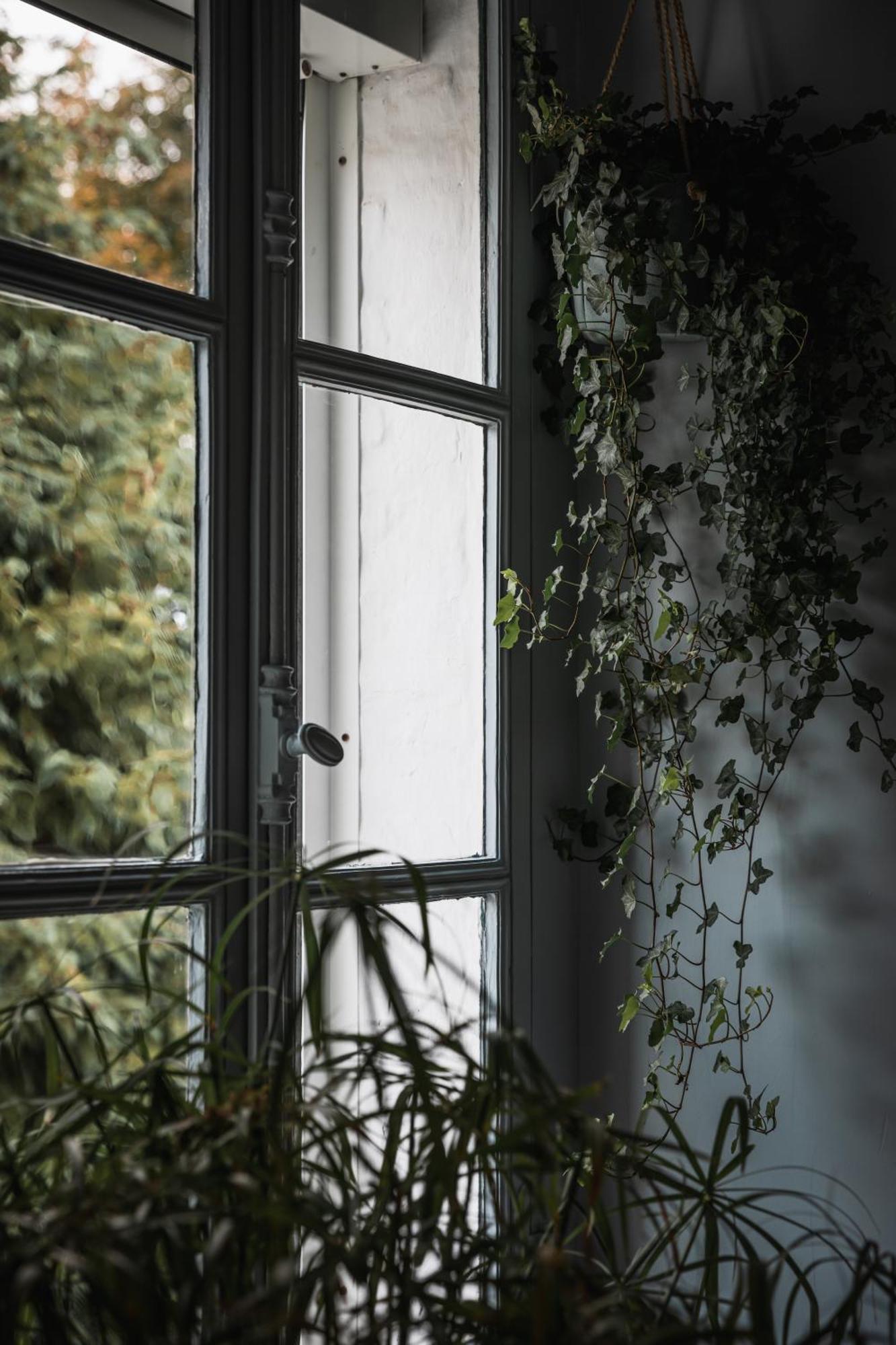 Pieux Bed & Breakfast Montreuil  Eksteriør bilde